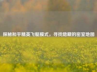探秘和平精英飞艇模式，寻找隐藏的密室地图