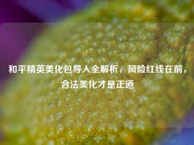 和平精英美化包导入全解析，风险红线在前，合法美化才是正道