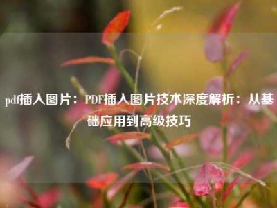 pdf插入图片：PDF插入图片技术深度解析：从基础应用到高级技巧