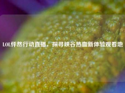LOL怦然行动直播，探寻峡谷热血新体验观看地
