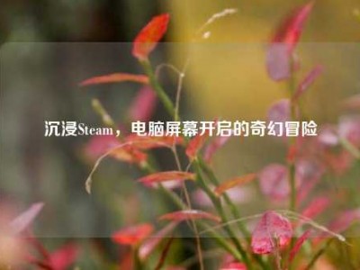 沉浸Steam，电脑屏幕开启的奇幻冒险