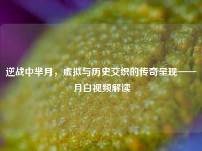 逆战中芈月，虚拟与历史交织的传奇呈现——月白视频解读