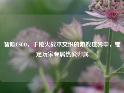 智顺CSGO，于枪火战术交织的游戏世界中，锚定玩家专属热爱归属