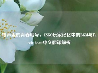 枪声里的青春暗号，CSGO玩家记忆中的BGM与Faceit boost中文翻译解析