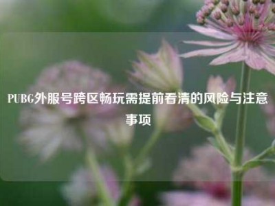 PUBG外服号跨区畅玩需提前看清的风险与注意事项