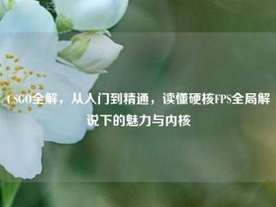 CSGO全解，从入门到精通，读懂硬核FPS全局解说下的魅力与内核