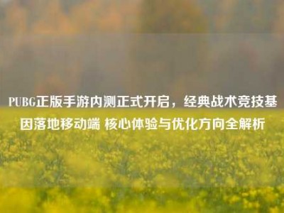 PUBG正版手游内测正式开启，经典战术竞技基因落地移动端 核心体验与优化方向全解析