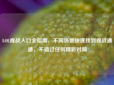 LOL观战入口全指南，不同场景快速找到观战通道，不错过任何精彩对局