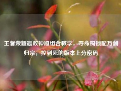 王者荣耀嬴政钟馗组合教学，夺命钩锁配万剑归宗，控到死的版本上分密码