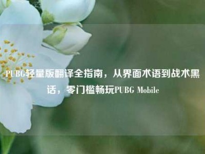 PUBG轻量版翻译全指南，从界面术语到战术黑话，零门槛畅玩PUBG Mobile