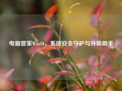 电脑管家Win10，系统安全守护与升级助手