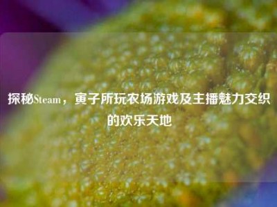 探秘Steam，寅子所玩农场游戏及主播魅力交织的欢乐天地