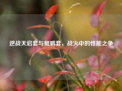 逆战天启套与鲲鹏套，战火中的性能之争