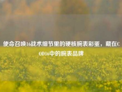使命召唤16战术细节里的硬核腕表彩蛋，藏在COD16中的腕表品牌