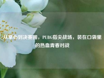 从掌心到决赛圈，PUBG指尖战场，装在口袋里的热血青春对战