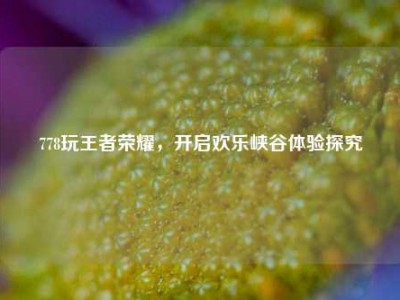 778玩王者荣耀，开启欢乐峡谷体验探究