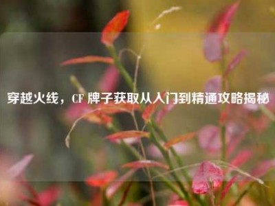 穿越火线，CF 牌子获取从入门到精通攻略揭秘