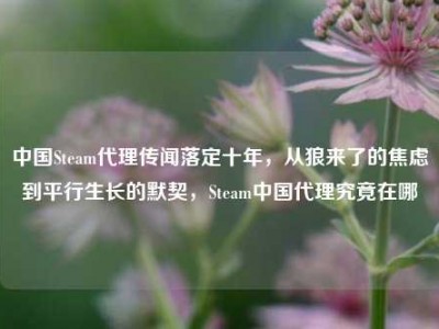 中国Steam代理传闻落定十年，从狼来了的焦虑到平行生长的默契，Steam中国代理究竟在哪