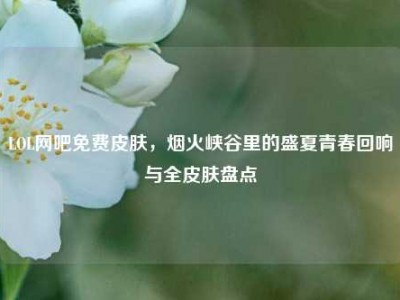 LOL网吧免费皮肤，烟火峡谷里的盛夏青春回响与全皮肤盘点
