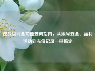 逆战官网全功能查询指南，从账号安全、福利活动到充值记录一键搞定