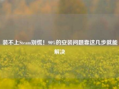 装不上Steam别慌！90%的安装问题靠这几步就能解决