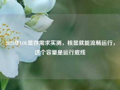 2025年LOL显存需求实测，核显就能流畅运行，这个容量是运行底线