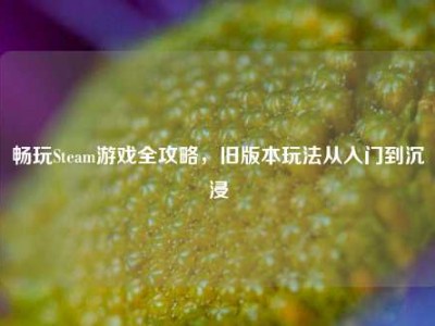 畅玩Steam游戏全攻略，旧版本玩法从入门到沉浸