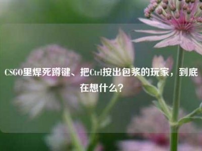 CSGO里焊死蹲键、把Ctrl按出包浆的玩家，到底在想什么？