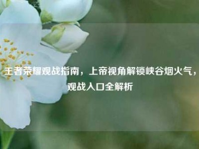 王者荣耀观战指南，上帝视角解锁峡谷烟火气，观战入口全解析