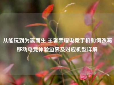 从能玩到为赢而生 王者荣耀电竞手机如何改写移动电竞体验边界及对应机型详解