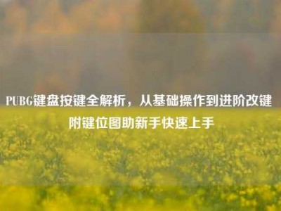 PUBG键盘按键全解析，从基础操作到进阶改键 附键位图助新手快速上手