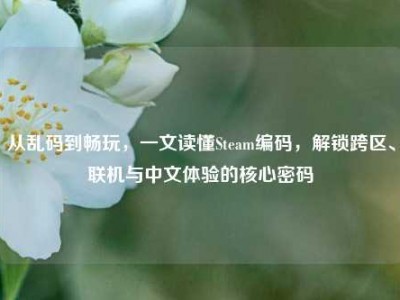 从乱码到畅玩，一文读懂Steam编码，解锁跨区、联机与中文体验的核心密码