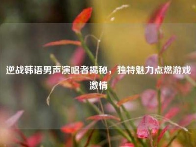 逆战韩语男声演唱者揭秘，独特魅力点燃游戏激情