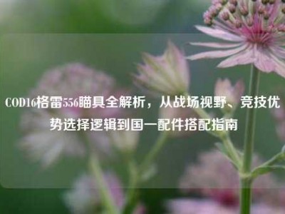 COD16格雷556瞄具全解析，从战场视野、竞技优势选择逻辑到国一配件搭配指南