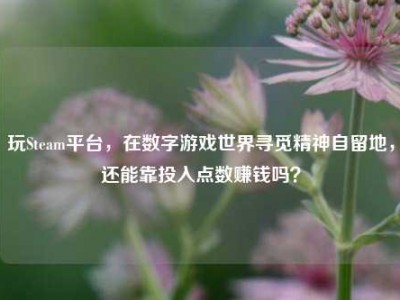 玩Steam平台，在数字游戏世界寻觅精神自留地，还能靠投入点数赚钱吗？