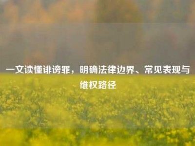 一文读懂诽谤罪，明确法律边界、常见表现与维权路径