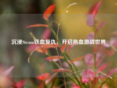 沉浸Steam铁血复仇，开启热血激战世界