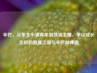 辛巴，从东北小镇青年到顶流主播，争议成长交织的直播江湖与辛巴赫啤酒