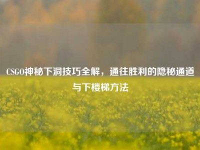 CSGO神秘下洞技巧全解，通往胜利的隐秘通道与下楼梯方法