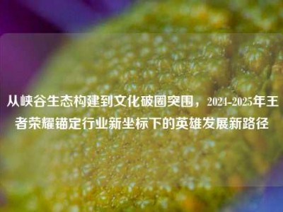 从峡谷生态构建到文化破圈突围，2024-2025年王者荣耀锚定行业新坐标下的英雄发展新路径