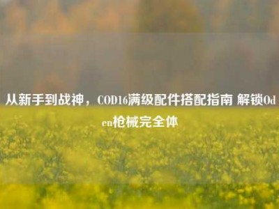 从新手到战神，COD16满级配件搭配指南 解锁Oden枪械完全体