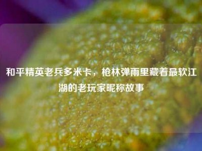 和平精英老兵多米卡，枪林弹雨里藏着最软江湖的老玩家昵称故事