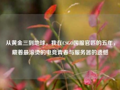 从黄金三到地球，我在CSGO国服官匹的五年，藏着最滚烫的电竞青春与服务器的遗憾