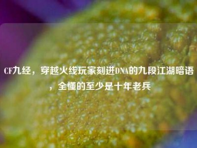 CF九经，穿越火线玩家刻进DNA的九段江湖暗语，全懂的至少是十年老兵
