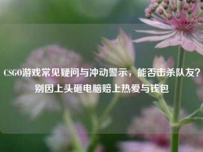CSGO游戏常见疑问与冲动警示，能否击杀队友？别因上头砸电脑赔上热爱与钱包