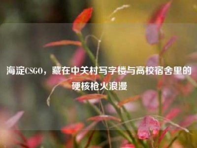 海淀CSGO，藏在中关村写字楼与高校宿舍里的硬核枪火浪漫