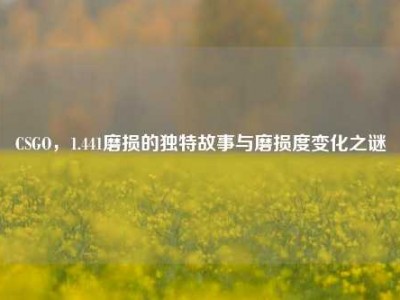 CSGO，1.441磨损的独特故事与磨损度变化之谜
