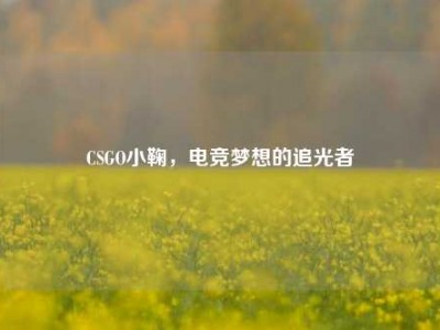 CSGO小鞠，电竞梦想的追光者