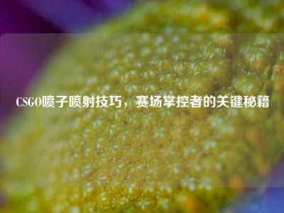 CSGO喷子喷射技巧，赛场掌控者的关键秘籍