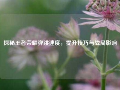探秘王者荣耀弹跳速度，提升技巧与战局影响